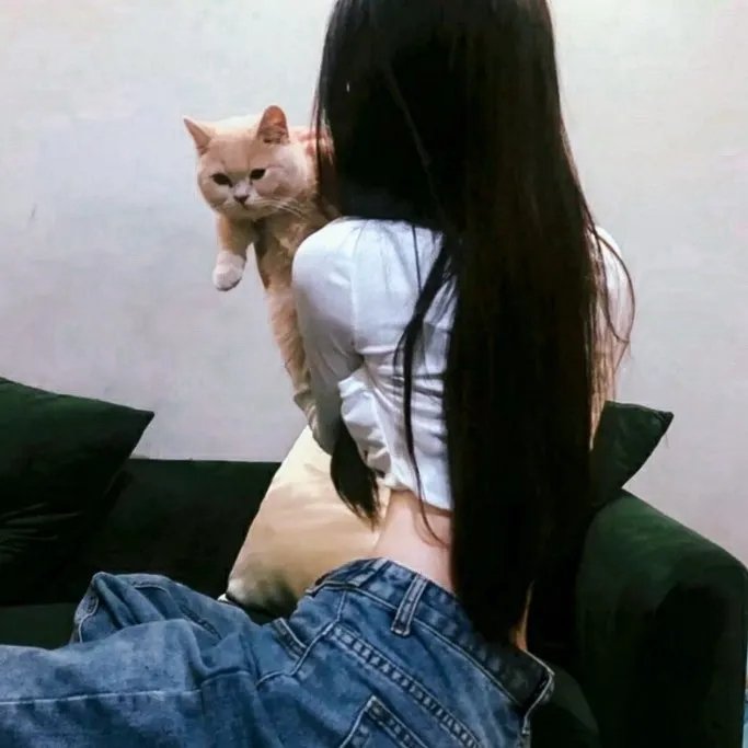 百合熊风暴